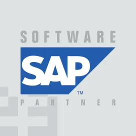 Sap Software Partner